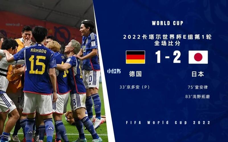 德国vs日本在线免费观看