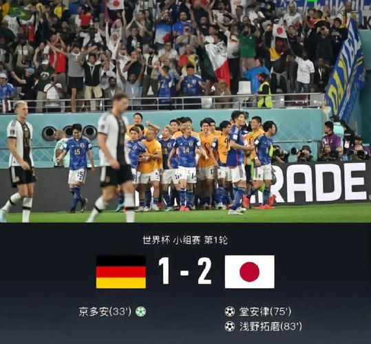 德国vs日本观看人数